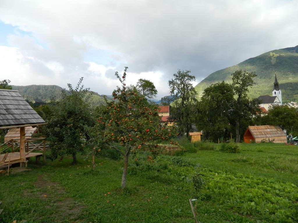 Glamping Organic Farm Slibar Villa Tržič Exteriör bild