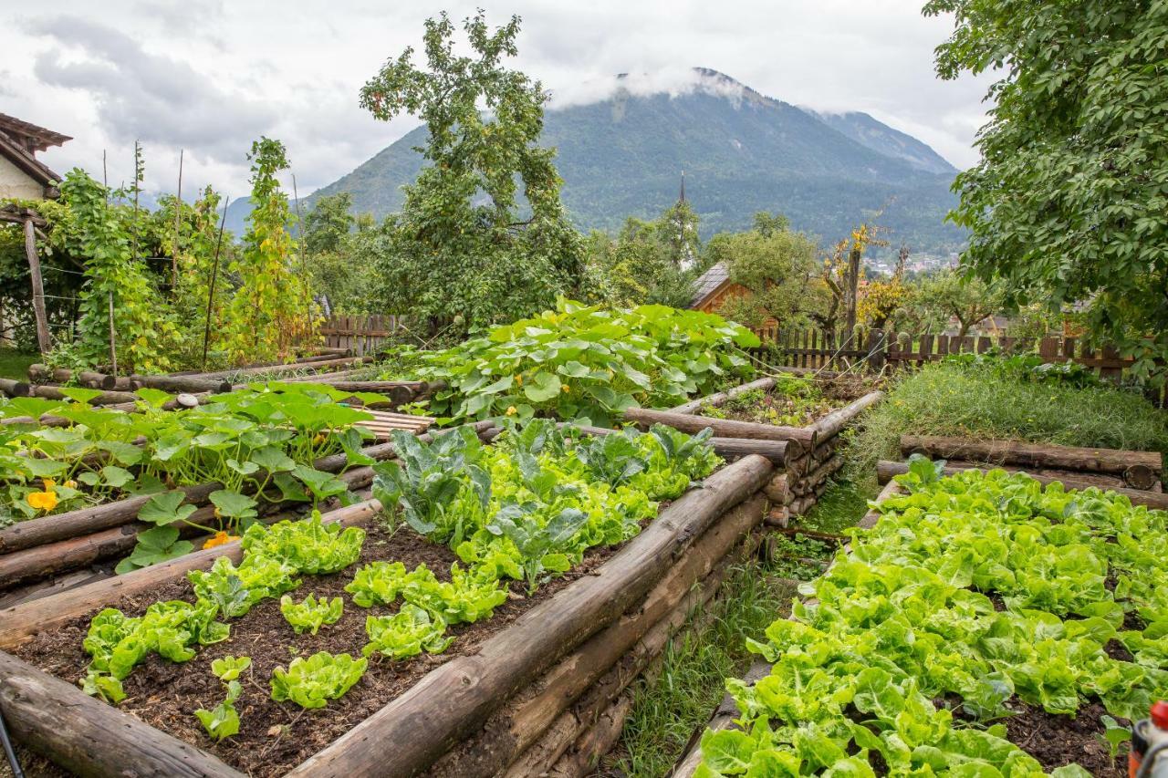 Glamping Organic Farm Slibar Villa Tržič Exteriör bild