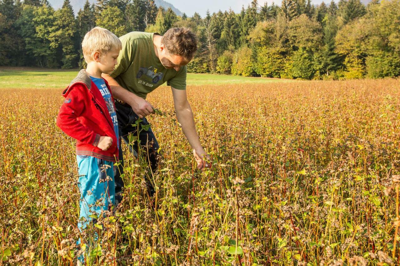 Glamping Organic Farm Slibar Villa Tržič Exteriör bild